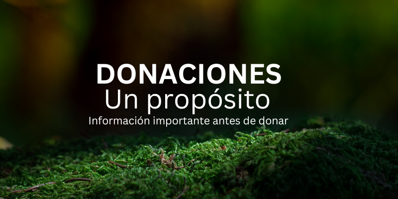 preguntas